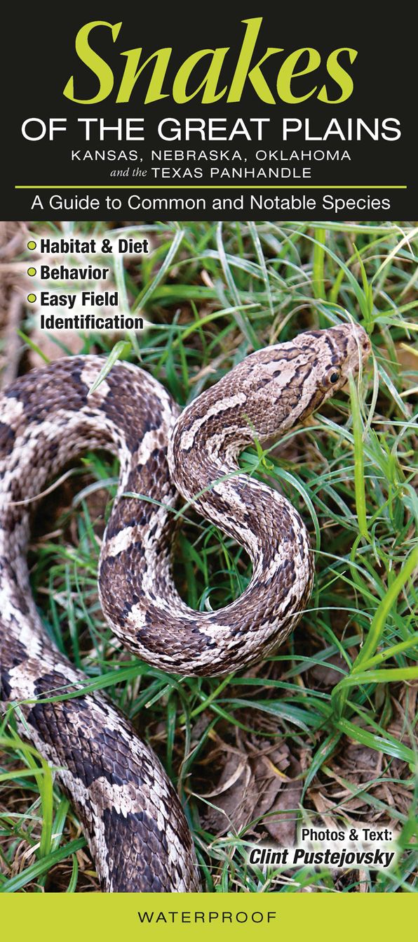 Snakes of the Great Plains - Kansas, Nebraska, Oklahoma, and the Texas Panhandle: A Guide to Common & Notable Species