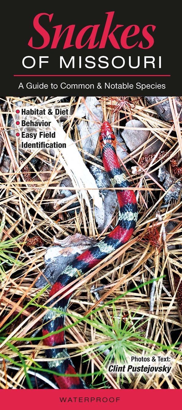 Snakes of Missouri: A Guide to Common & Notable Species