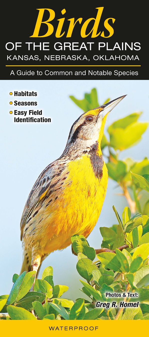 Birds of the Great Plains: Kansas, Nebraska, Oklahoma: A Guide to Common and Notable Species