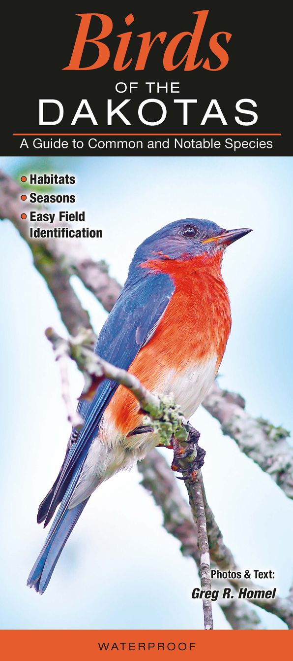 Birds of the Dakotas: A Guide to Common and Notable Species