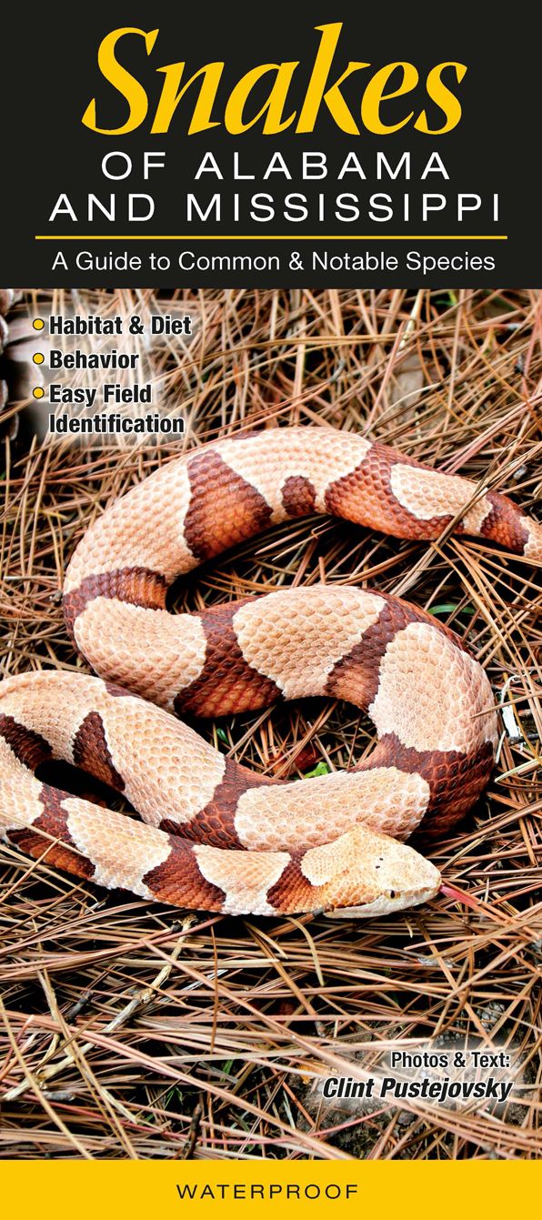 Snakes of Alabama and Mississippi
