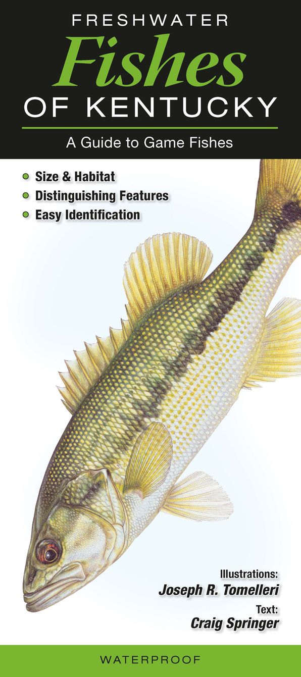 Freshwater Fishes of Kentucky: A Guide to Common & Notable Species