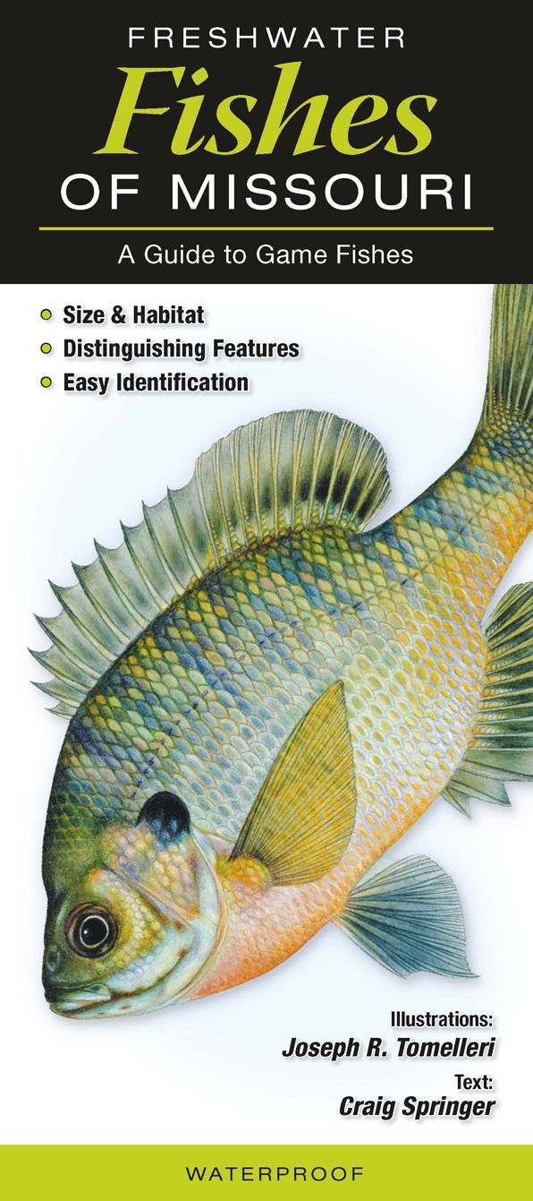 Freshwater Fishes of Missouri: A Guide to Common & Notable Species