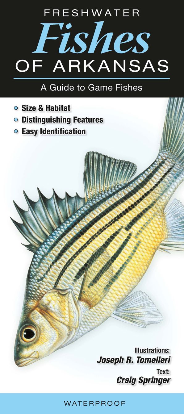 Freshwater Fishes of Arkansas