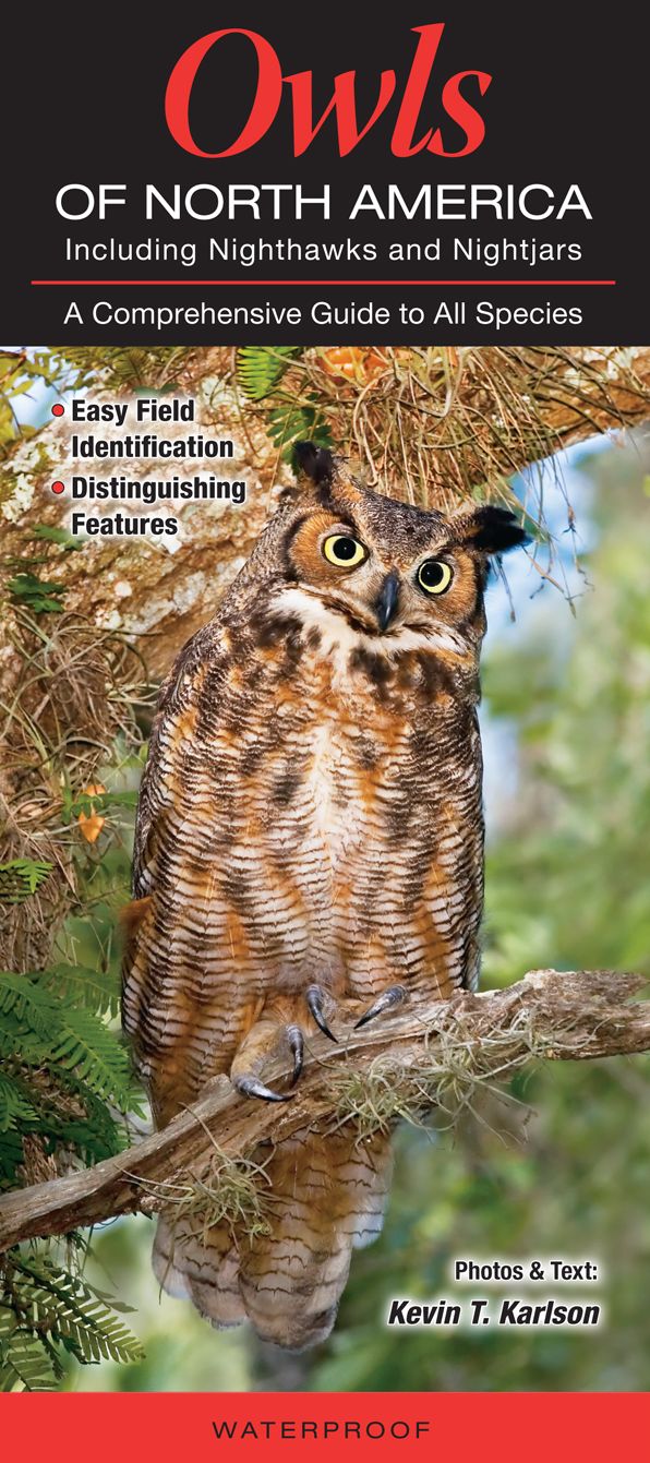 Owls of North America Including Nighthawks and Nightjars: A Comprehensive Guide to All Species