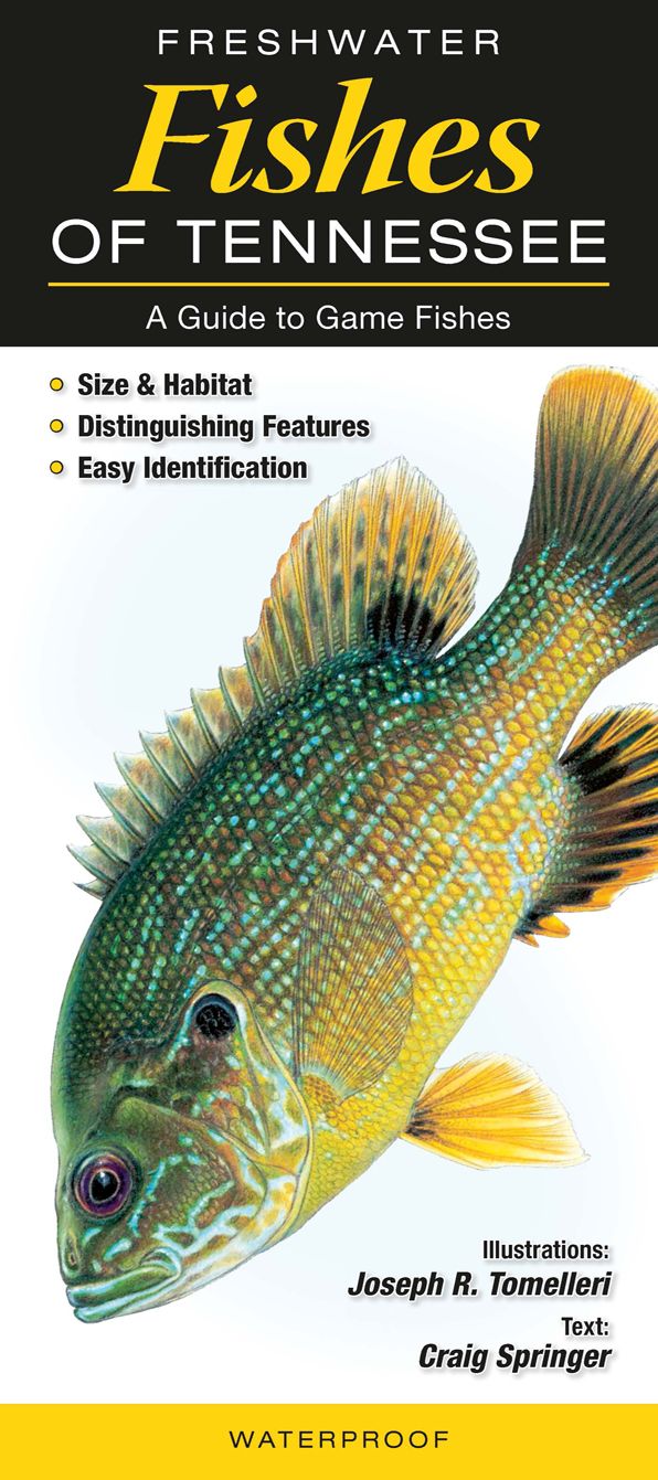 Freshwater Fishes of Tennessee: A Guide to Common & Notable Species