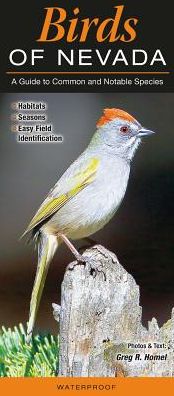 Birds of Nevada: A Guide to Common and Notable Species