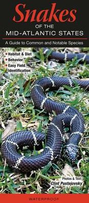Snakes of the Mid-Atlantic States: A Guide to Common & Notable Species