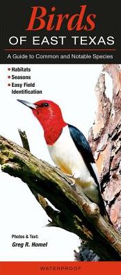 Birds of East Texas: A Guide to Common and Notable Species