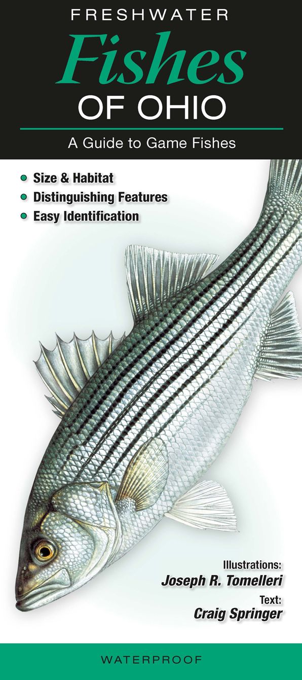Freshwater Fishes of Ohio: A Guide to Game Fishes