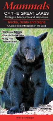 Tracks, Scats and Signs of the Great Lakes (Michigan, Minnesota and Wisconsin): A Guide to Identification in the Wild