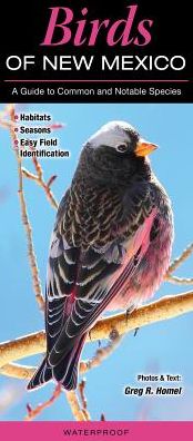 Birds of New Mexico: A Guide to Common & Notable Species