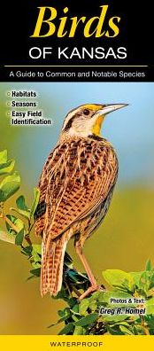 Birds of Kansas: A Guide to Common & Notable Species