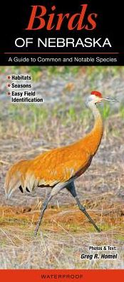 Birds of Nebraska: A Guide to Common & Notable Species