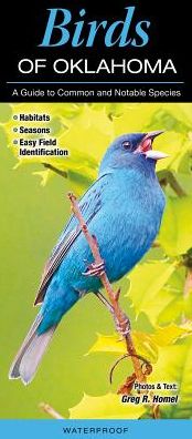 Birds of Oklahoma: A Guide to Common & Notable Species