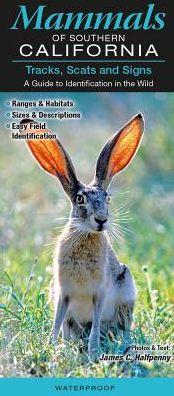 Mammals of Southern California: Tracks, Scats and Signs: A Guide to Identification in the Wild