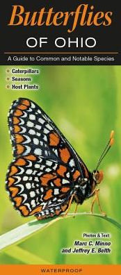 Butterflies of Ohio: A Guide to Common and Notable Species