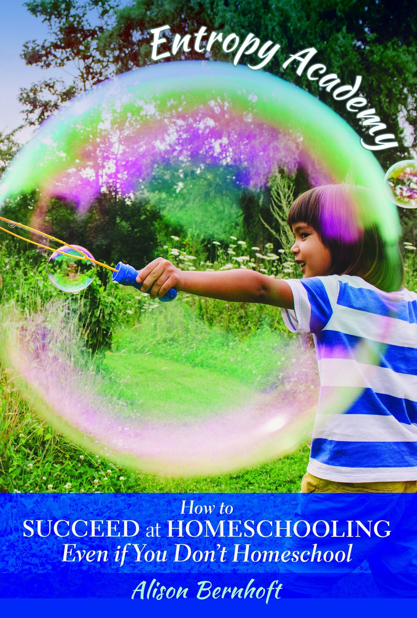 Entropy Academy: How to Succeed at Homeschooling at Home Even if You Don't Homeschool