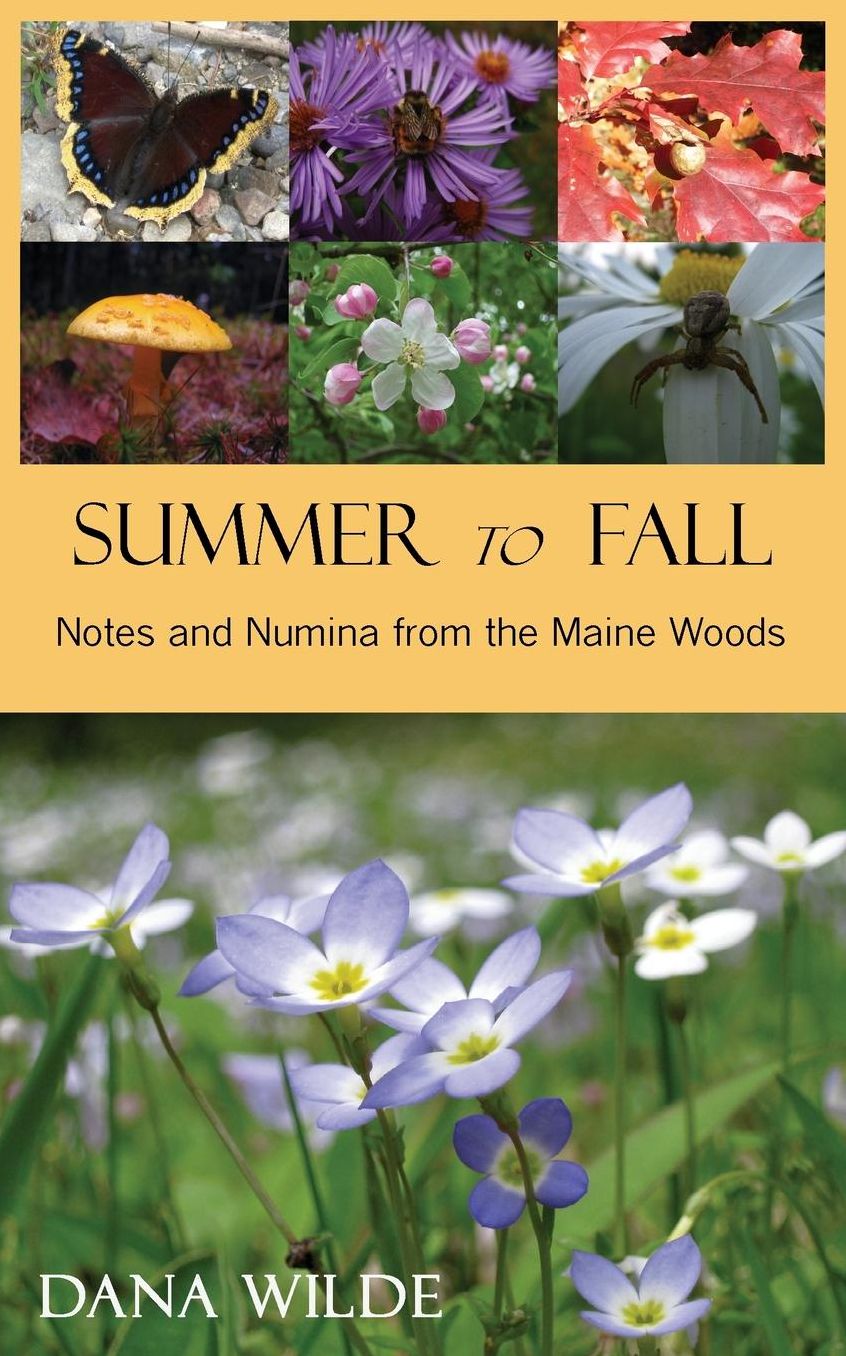 Summer to Fall