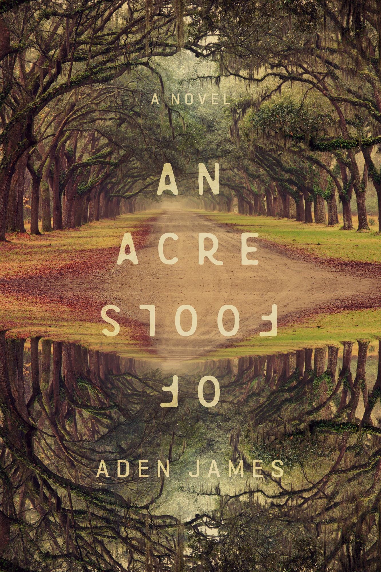 An Acre of Fools