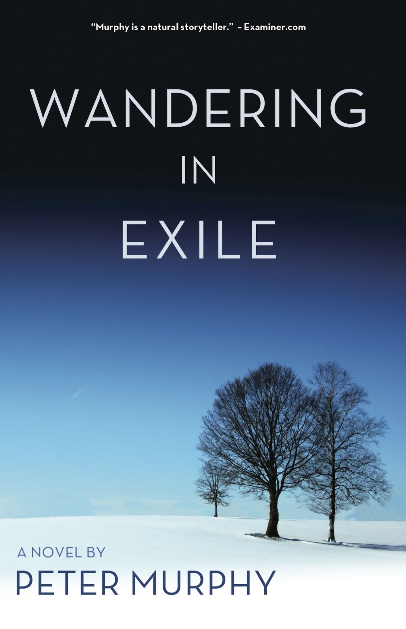 Wandering in Exile: Life & Times Trilogy Book 2