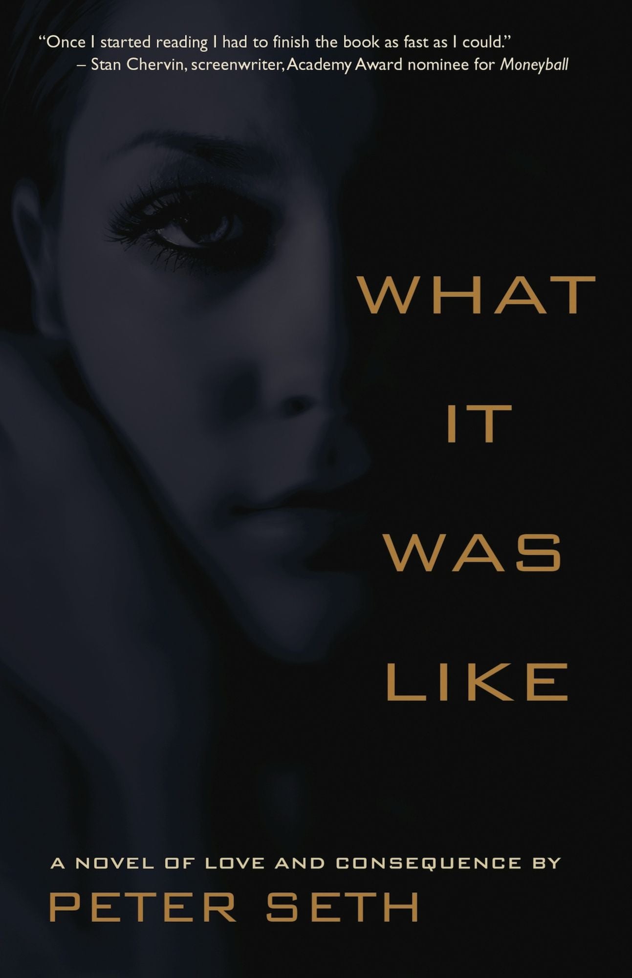 What It Was Like: A Novel of Love and Consequence