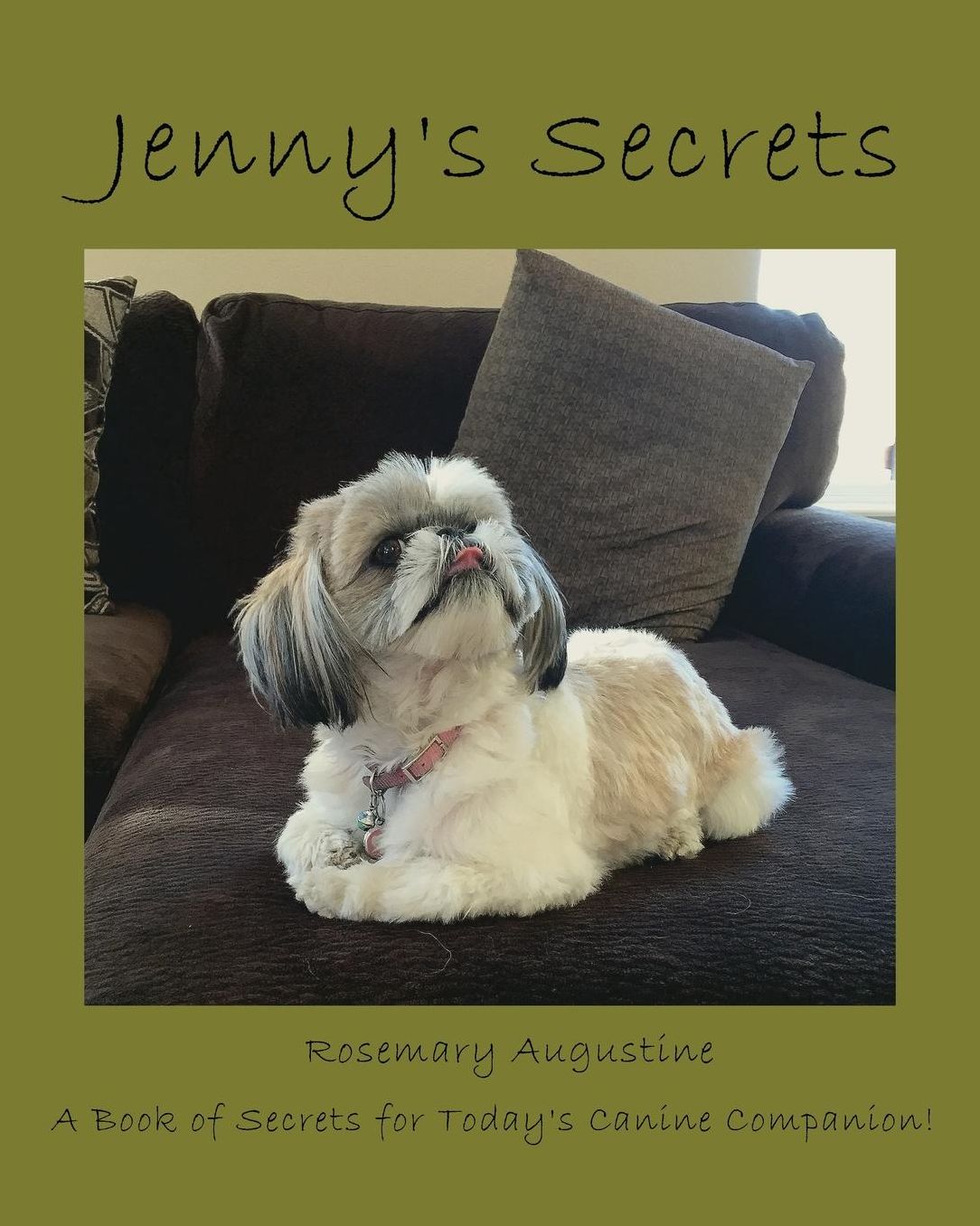 Jenny's Secrets: An Internet Password Keeper