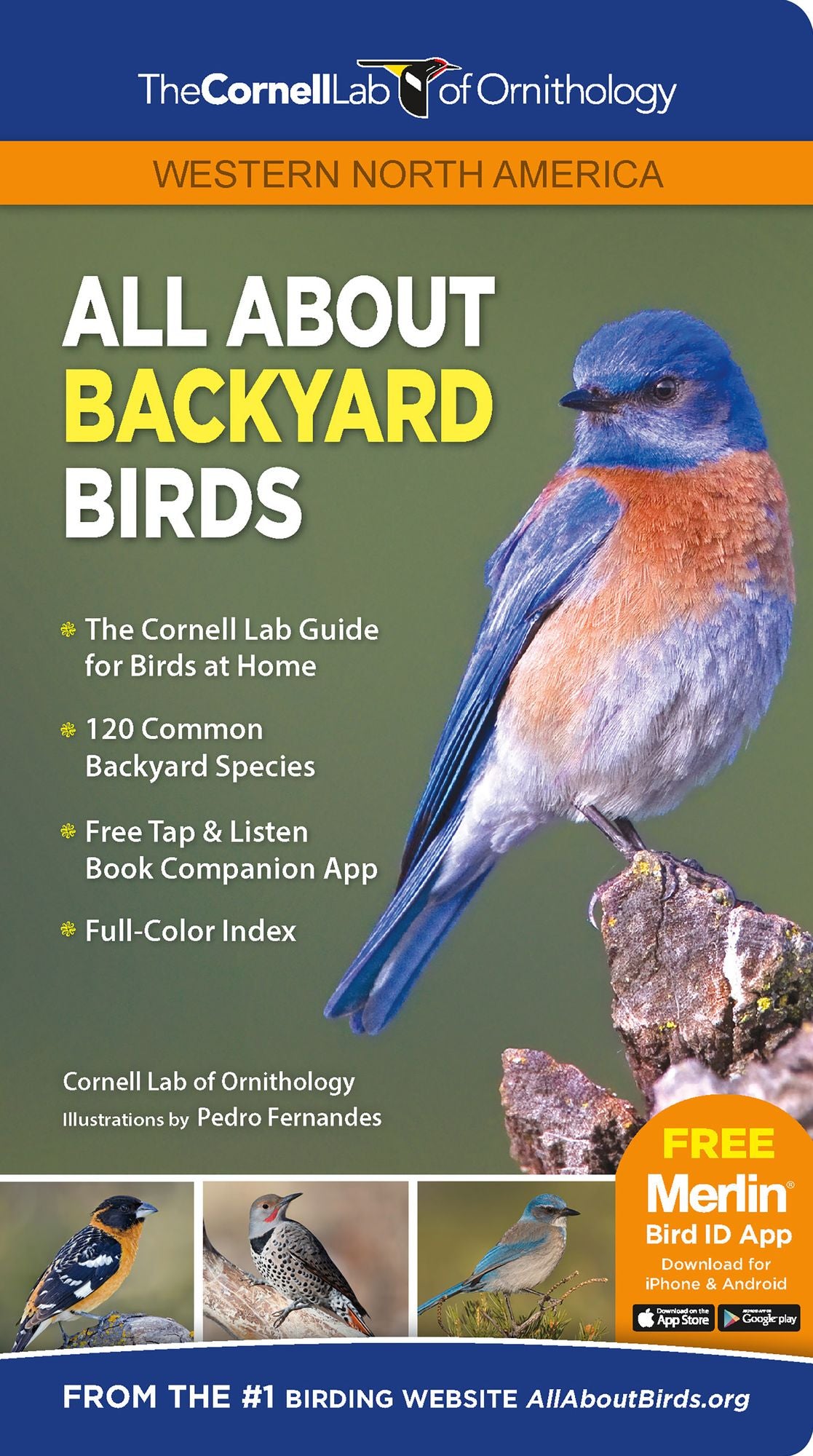 All About Backyard Birds: Western North America