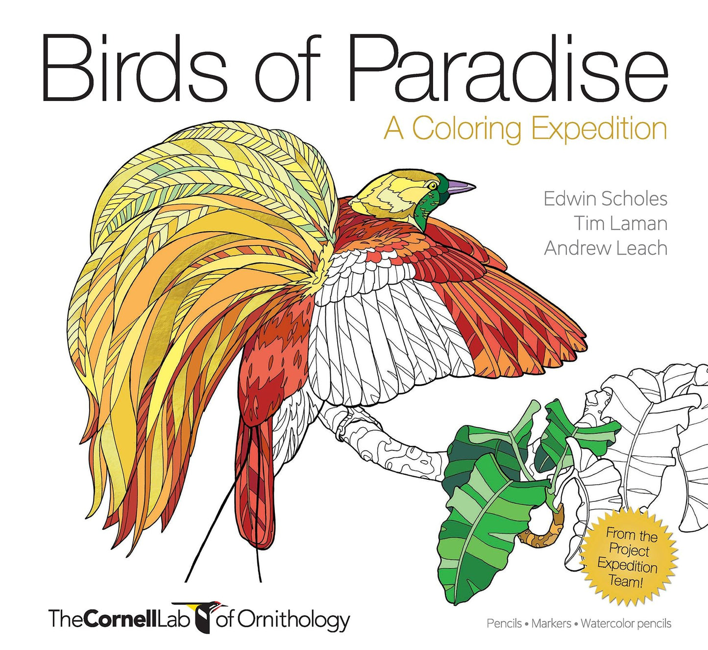Birds of Paradise: A Coloring Expedition