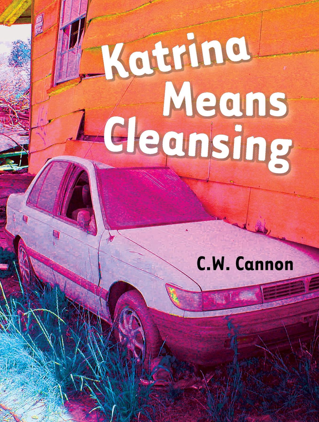 Katrina Means Cleansing