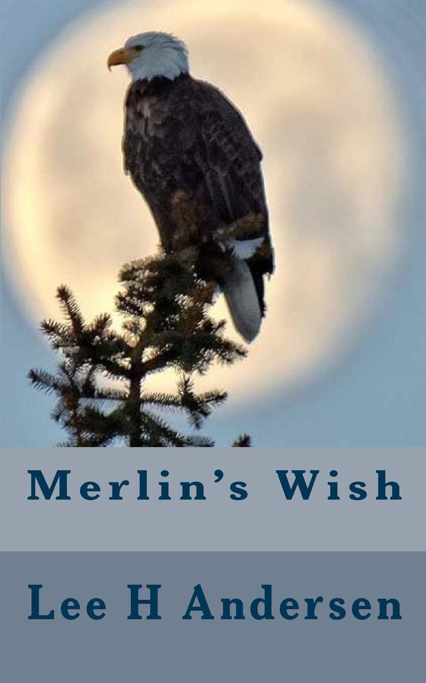 Merlin's Wish: NOLE Case File 7