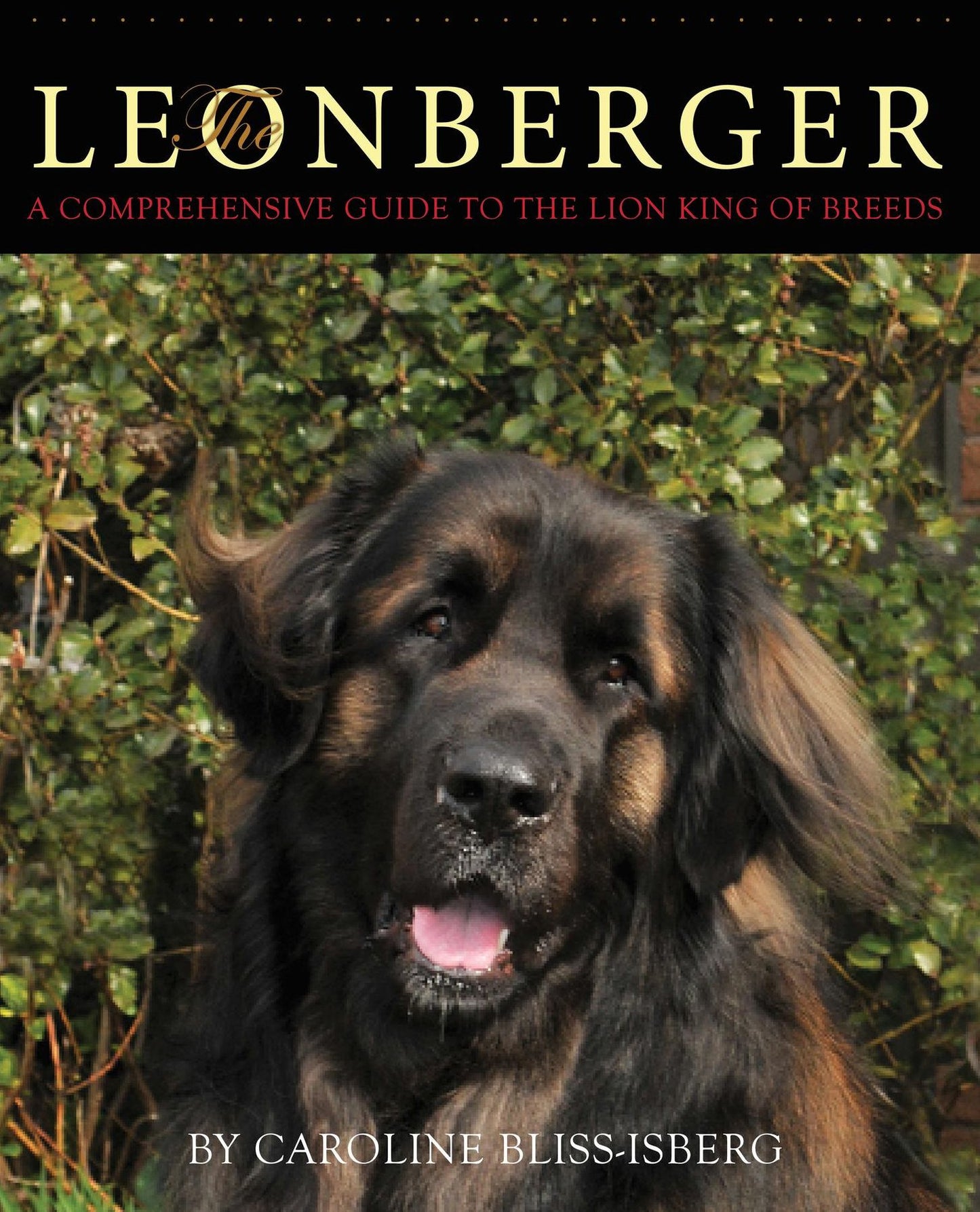The Leonberger: A Comprehensive Guide to the Lion King of Breeds