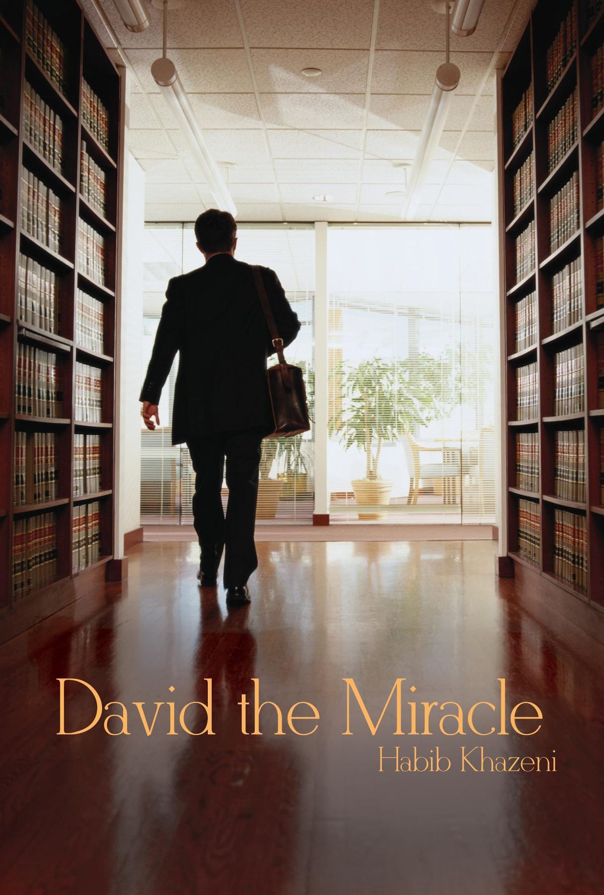 David the Miracle: '