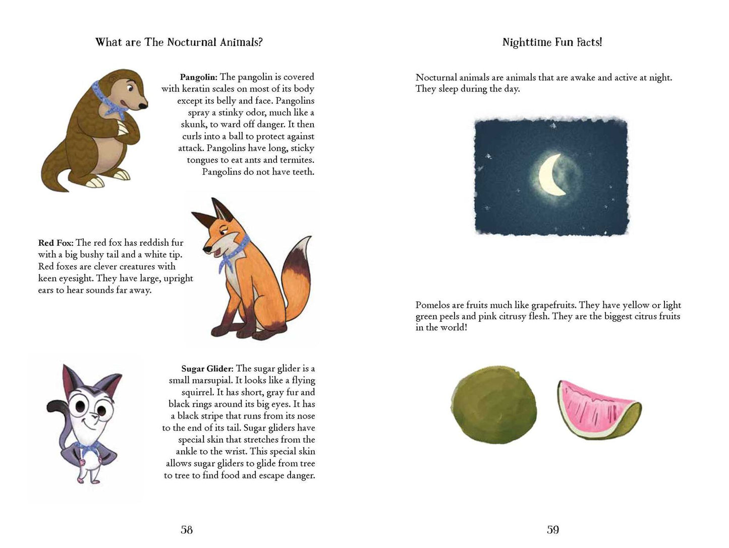 The Moonlight Meeting: The Nocturnals