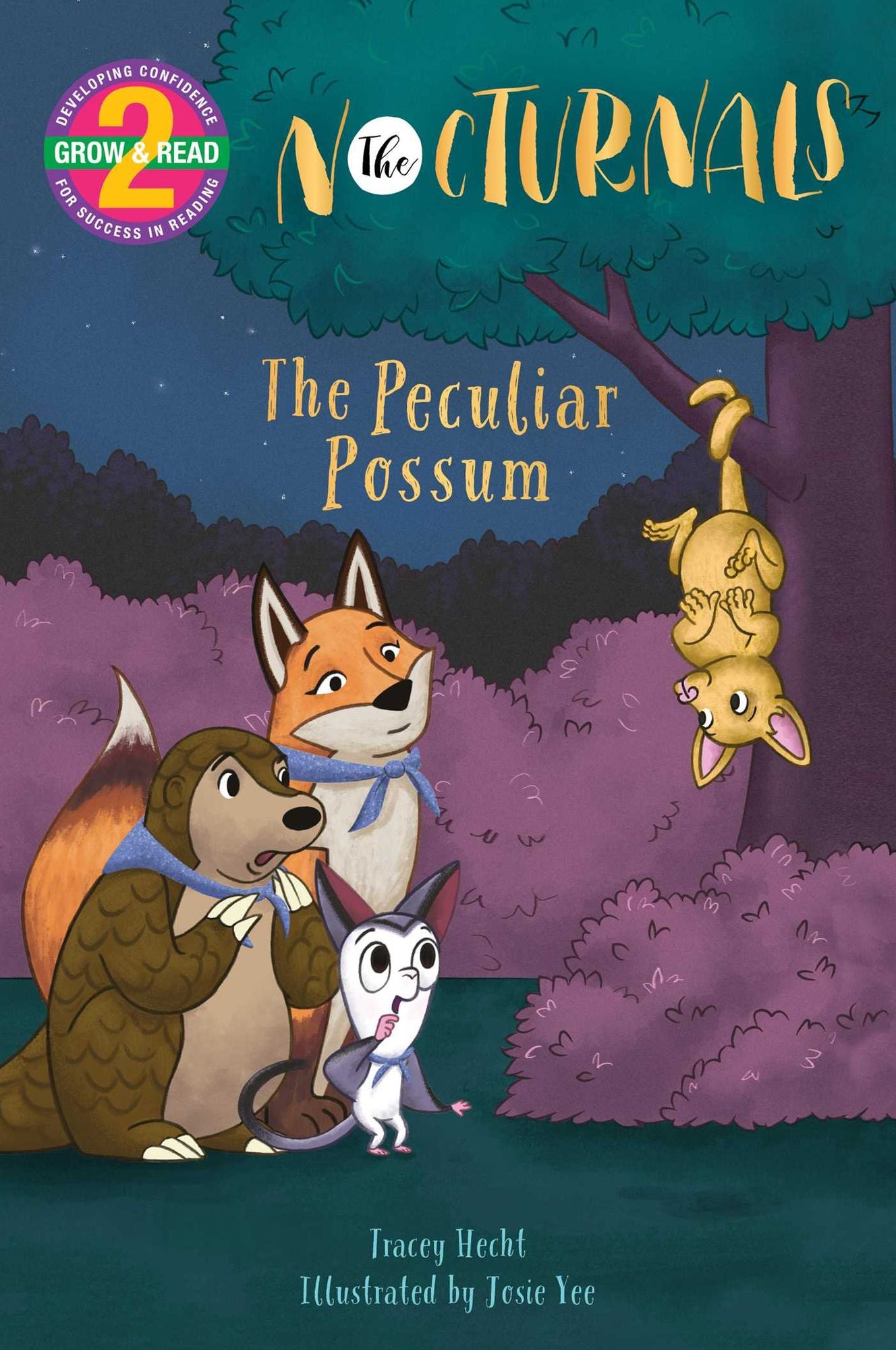 The Peculiar Possum: The Nocturnals
