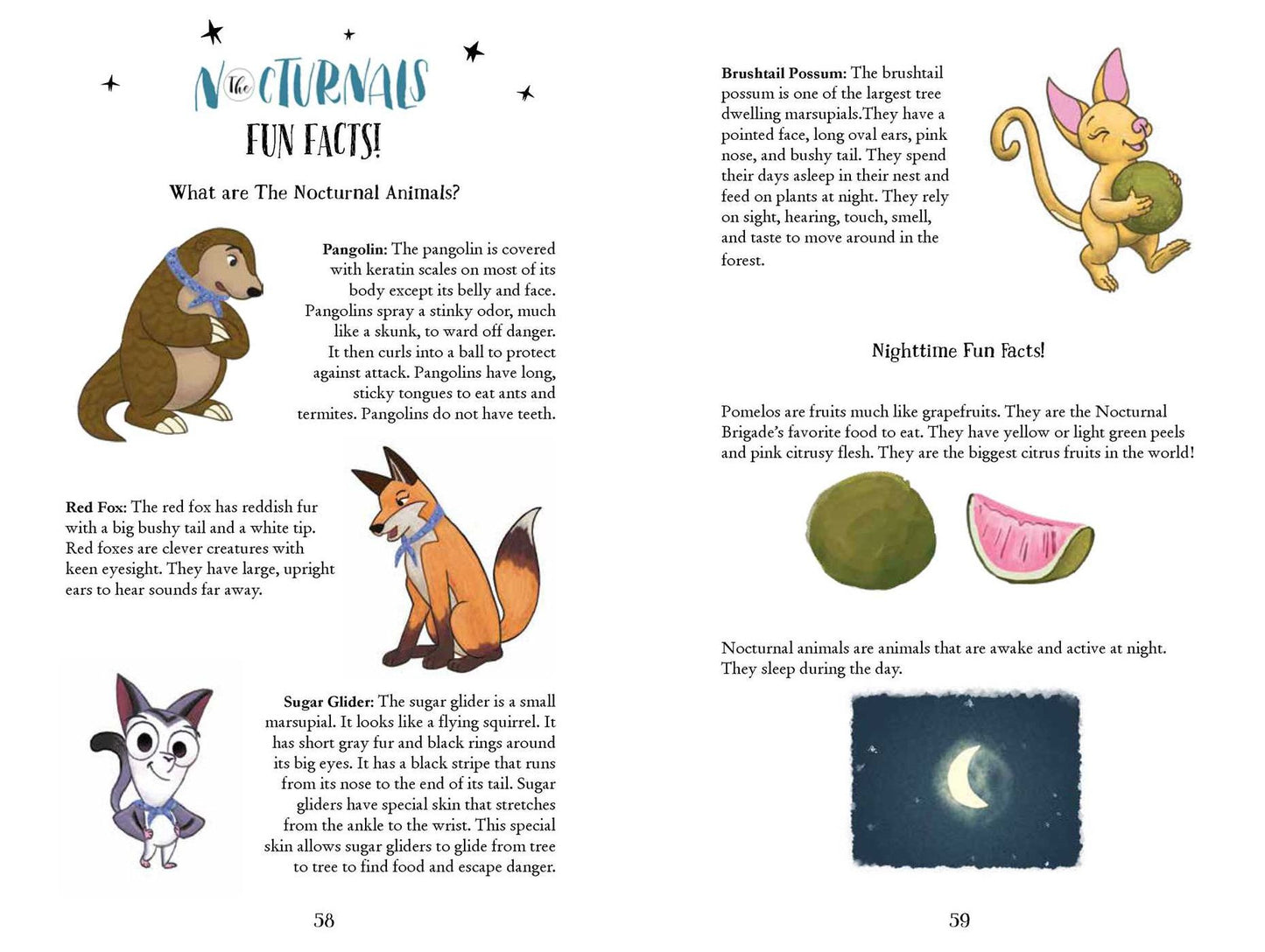 The Peculiar Possum: The Nocturnals