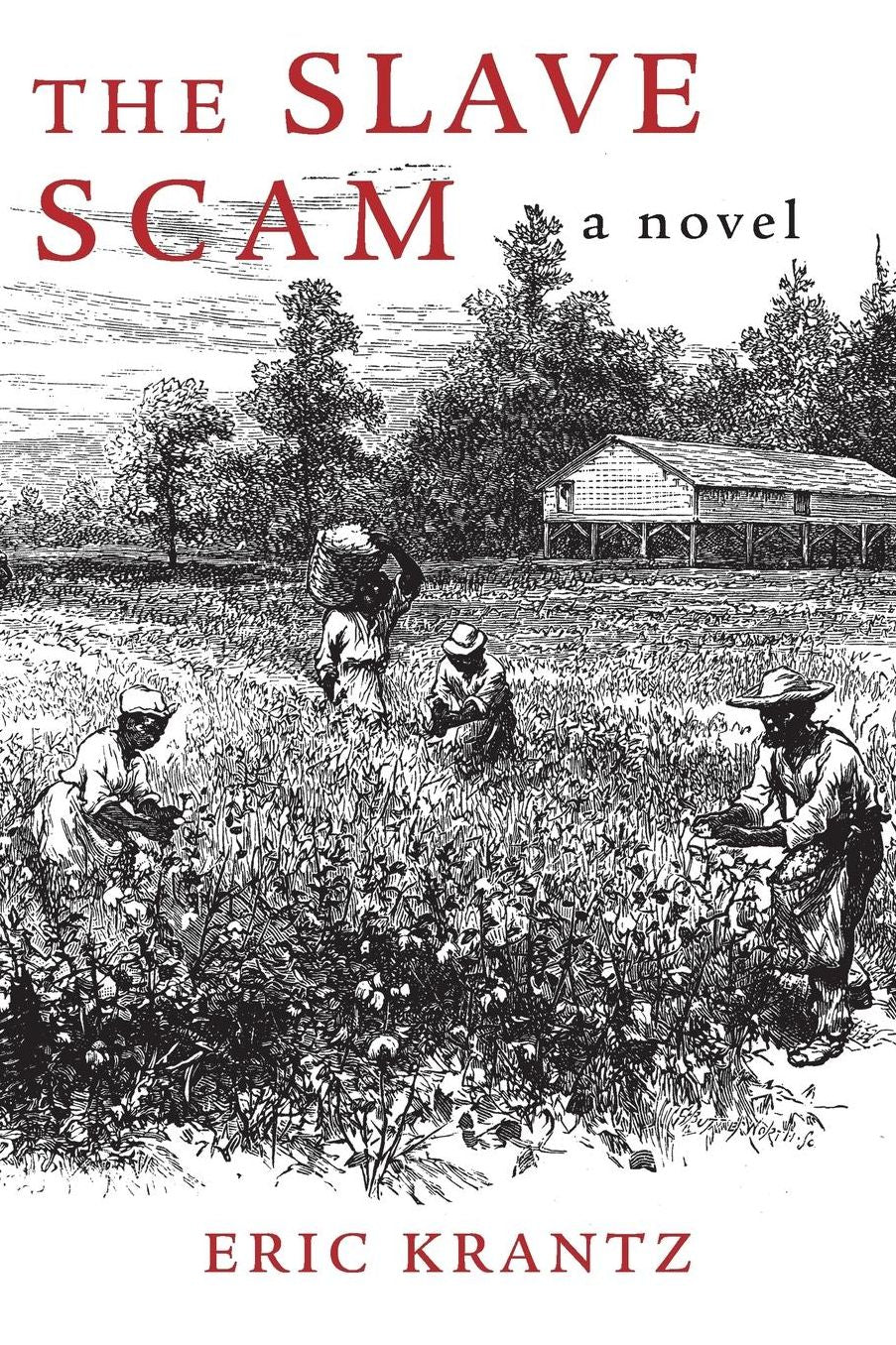 The Slave Scam: A Novel