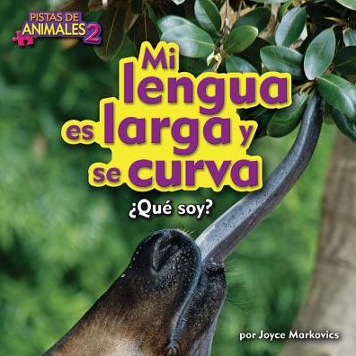 Mi Lengua Es Larga y Curva (Okapi)