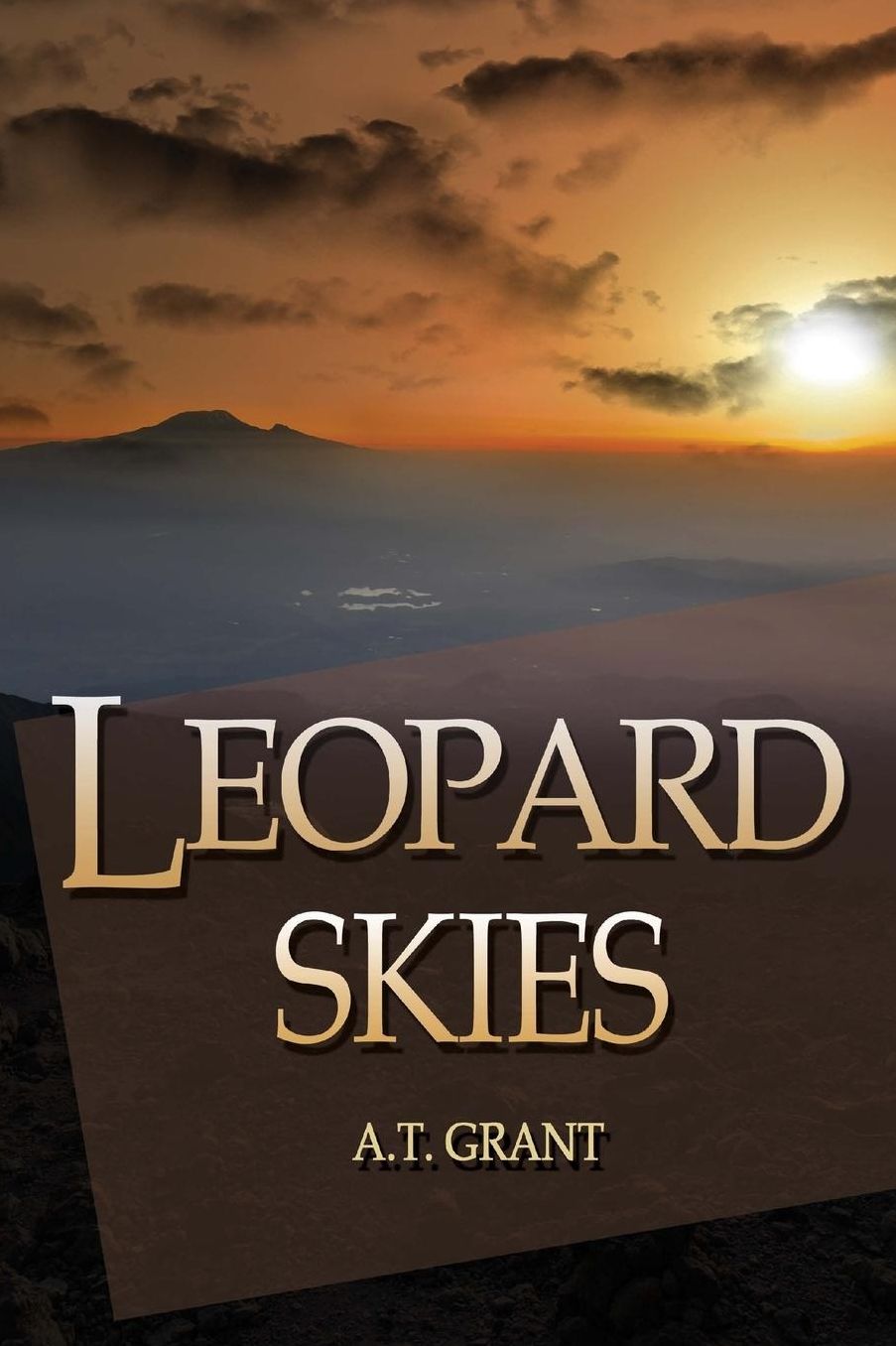 Leopard Skies: Tailwind Adventures - Book 2