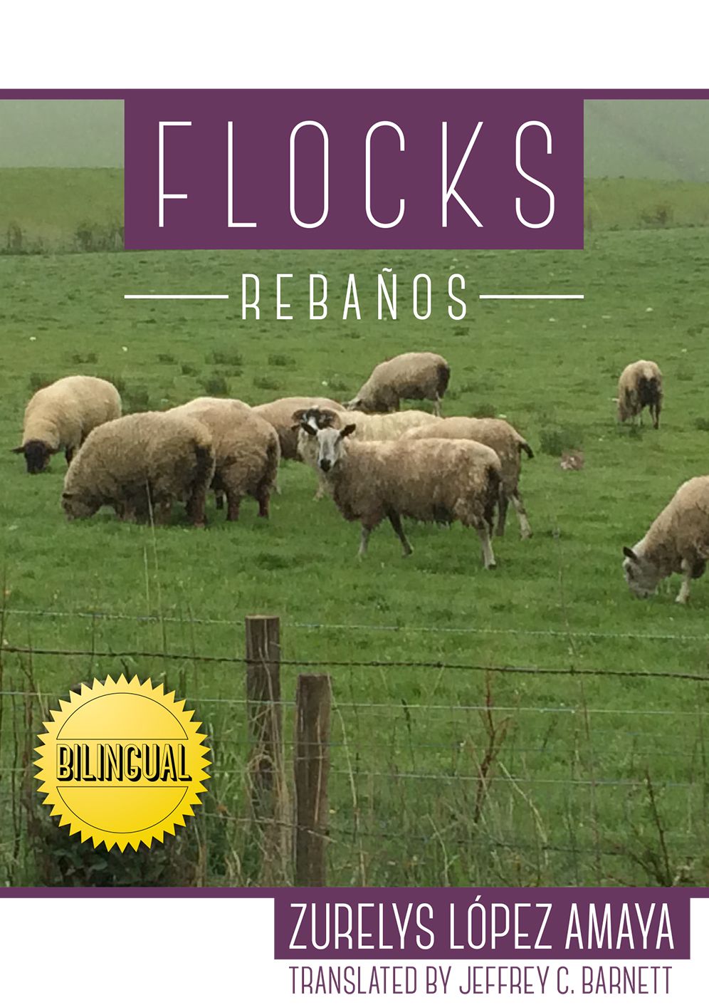 Flocks/Rebanos