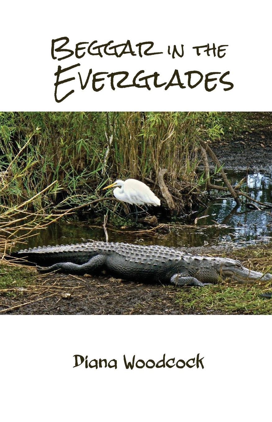 Beggar in the Everglades