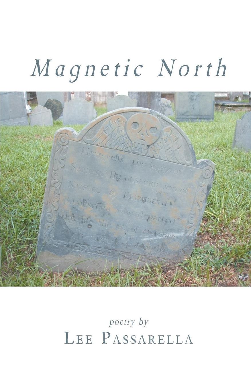Magnetic North