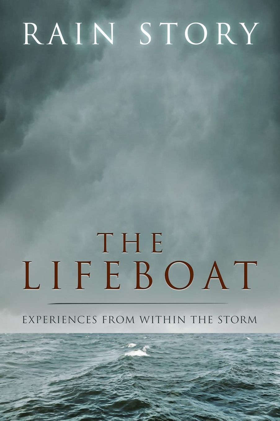 The Lifeboat: Experiences from within the storm
