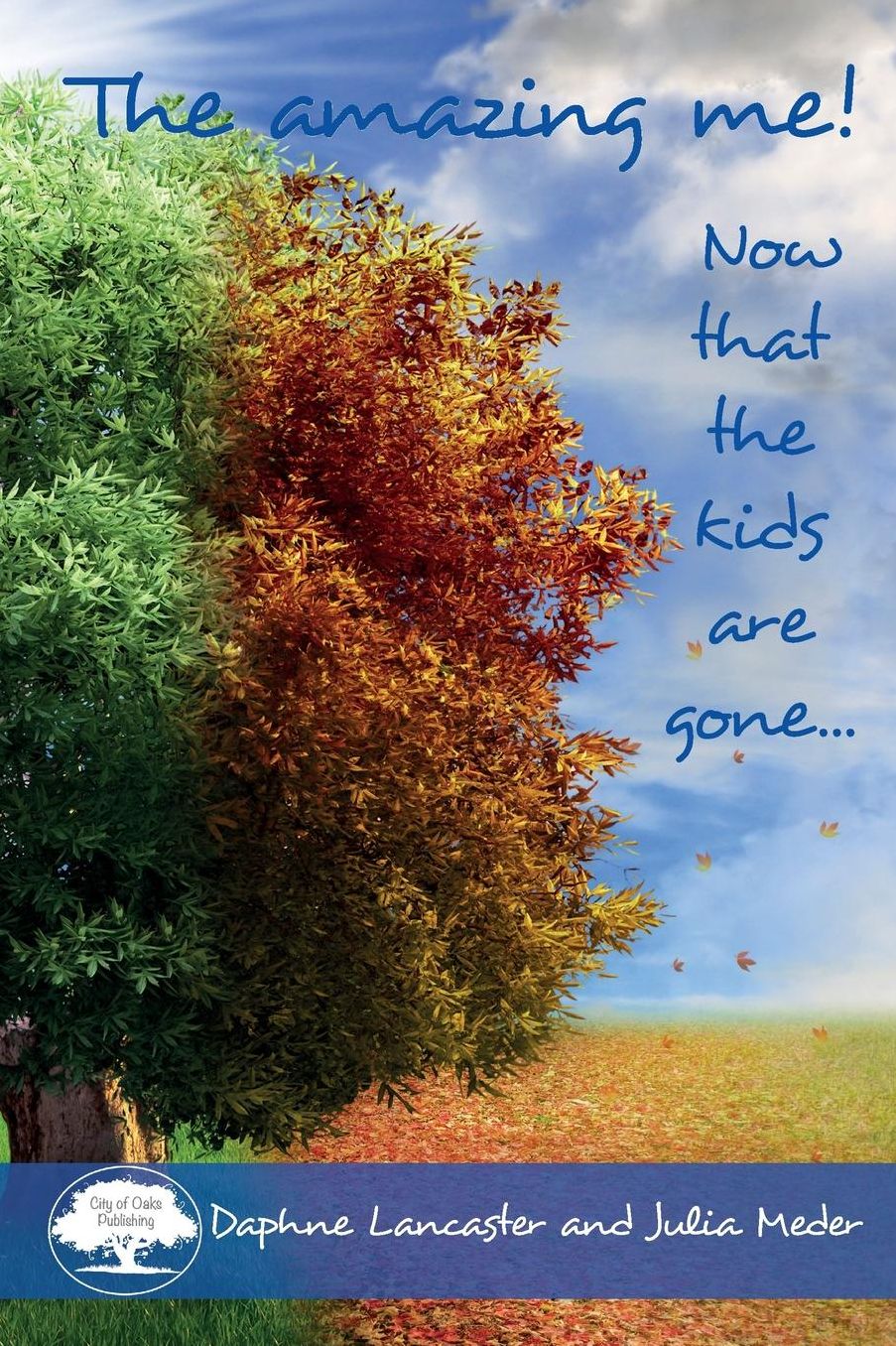 The Amazing Me!: Now that the kids are gone...