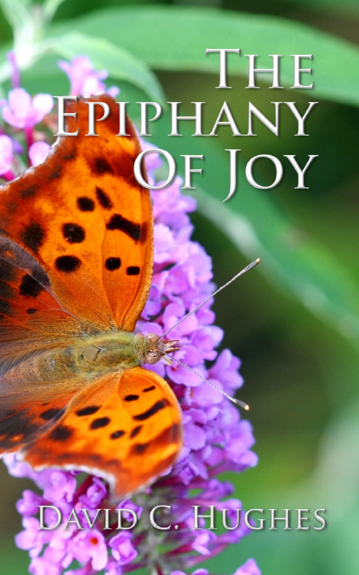 The Epiphany of Joy