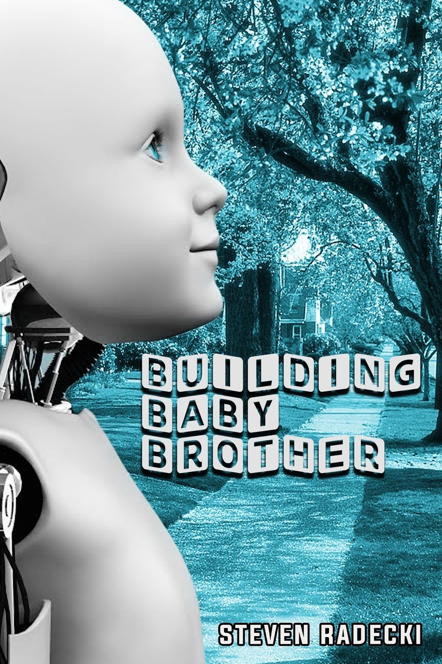 Building Baby Brother