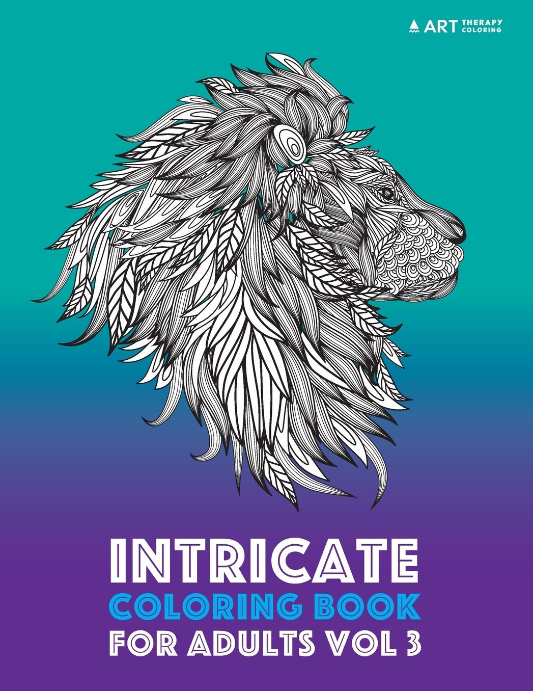 Intricate Coloring Book For Adults Vol 3