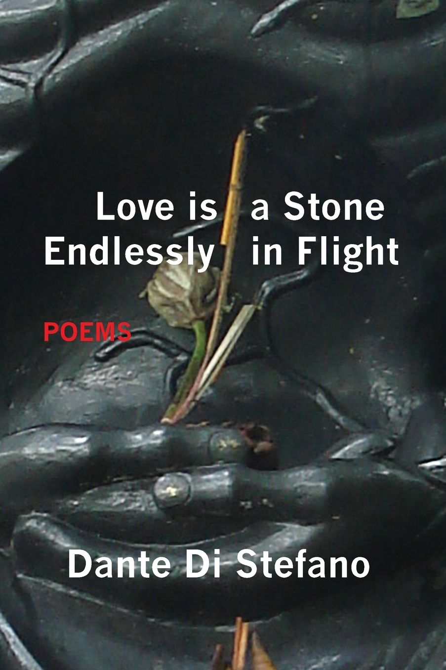 Love Is a Stone Endlessly in Flight: Poems