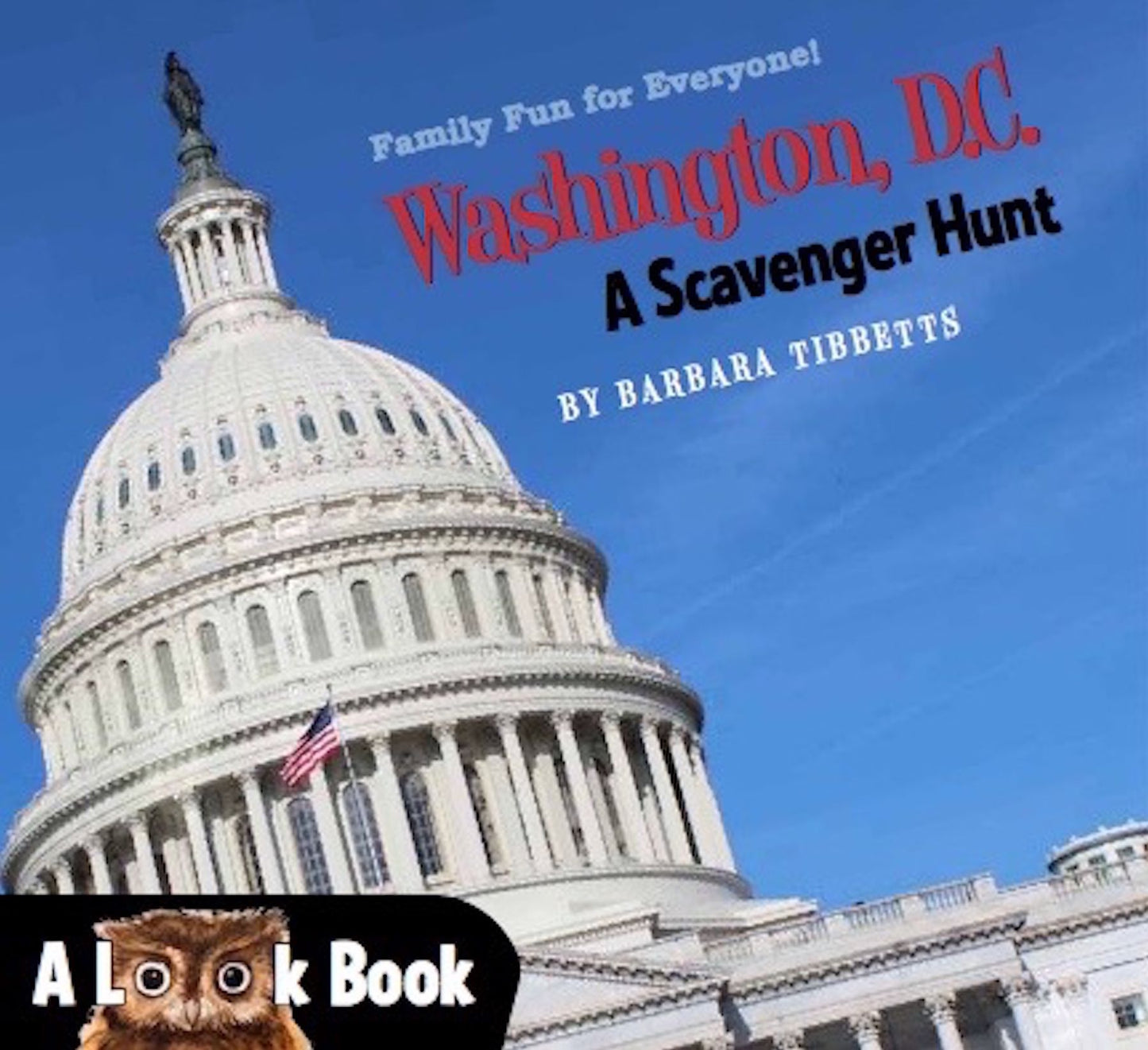The LOOK Book, Washington D.C.