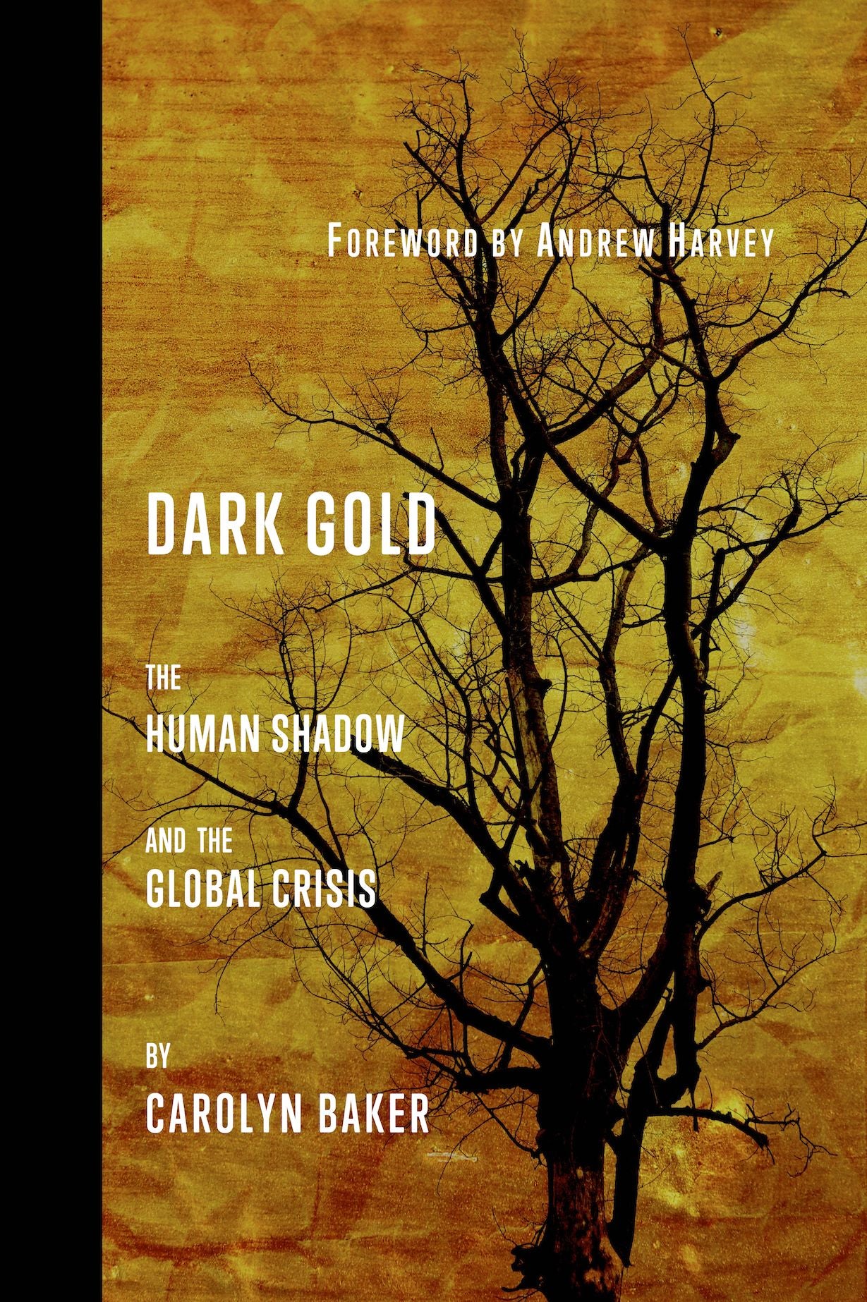 DARK GOLD: THE HUMAN SHADOW AND THE GLOBAL CRISIS